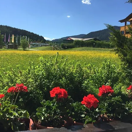 Apartman Ani Ramsau am Dachstein